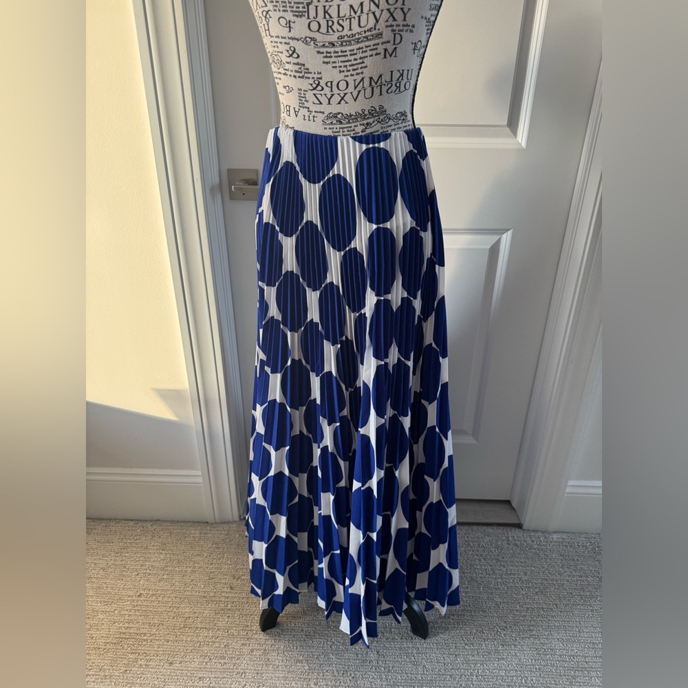 ShopEvelynne Navy and White Maxi Skirt - Picture 5 of 7